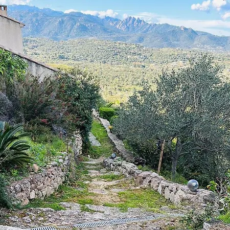Ficaja Vue Panoramique Sur Pinarello - Avec Jacuzzi - A 2min De La (adults Only) Pinarellu